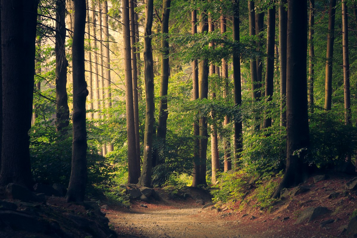 Illustrative photograph for the environment